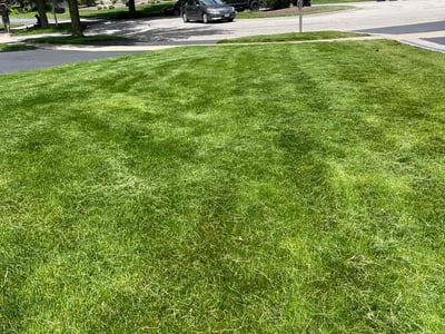 Lawn care service in Naperville, 60564