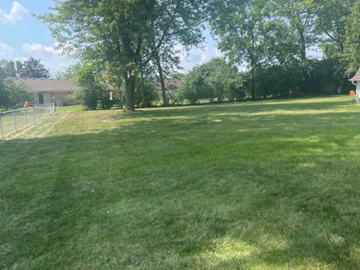 Lawn care service in Dayton, 45431