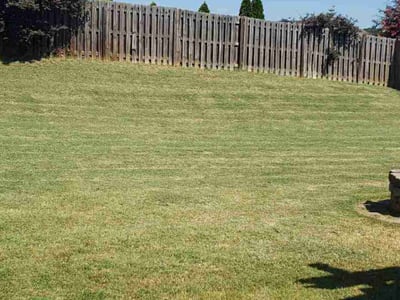 Lawn care service in Roebuck, 29376