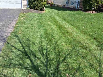 Lawn care service in Westerville, 43081