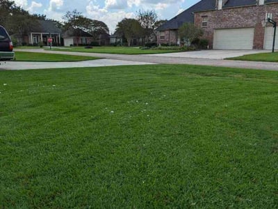 Lawn care service in Prairieville, 70769
