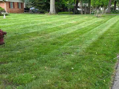 Lawn care service in Oakland County, 48322