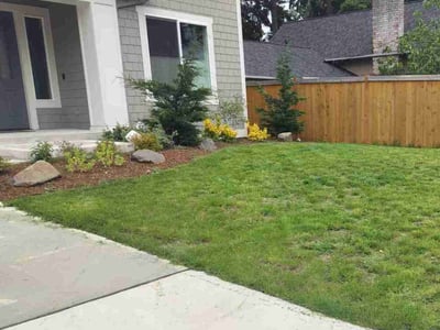 Lawn care service in Bellevue, 98008