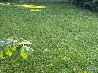 Lawn care service in Park Forest, 60466