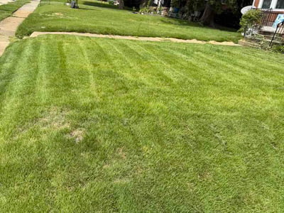 Lawn care service in Baltimore, 21206