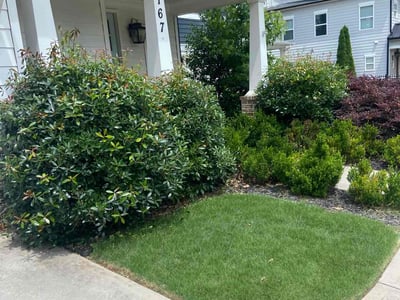 Lawn care service in Atlanta, 30317