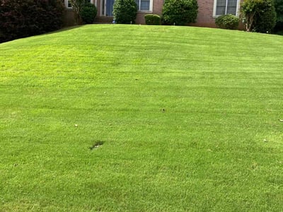 Lawn care service in Atlanta, 30349