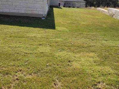 Lawn care service in Andice, 78628