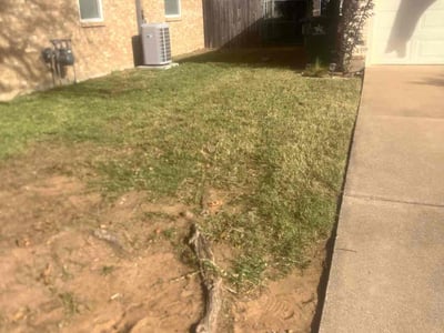 Lawn care service in Arlington, 76015