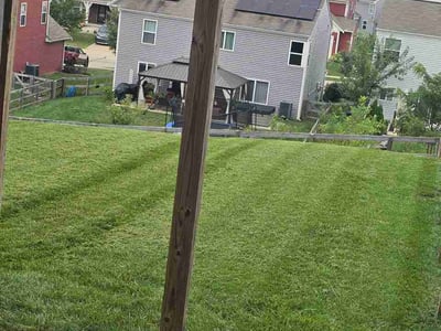 Lawn care service in Union, 41091