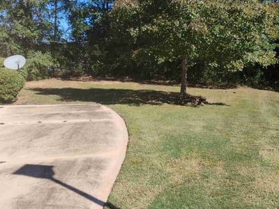 Lawn care service in , 