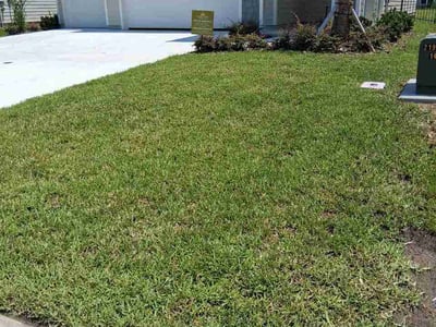 Lawn care service in Palm Coast, 32164