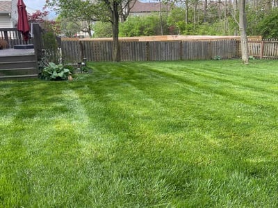 Lawn care service in Dayton, 45424