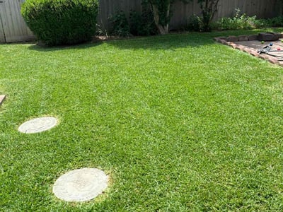 Lawn care service in Arlington, 76016