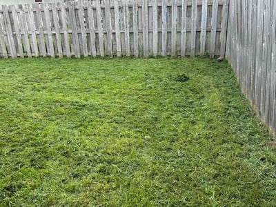 Lawn care service in Austin, 78747