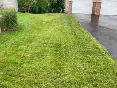 Lawn care service in Minneapolis, 55443