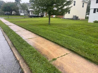 Lawn care service in King of Prussia, 19406