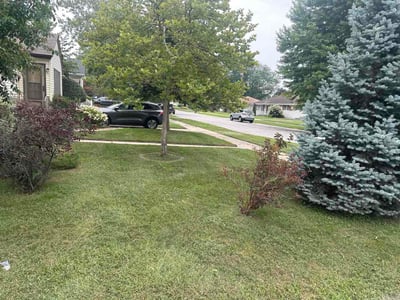 Lawn care service in Highland, 46322