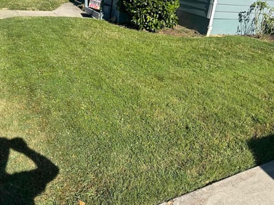 Lawn care service in Medford, 97501