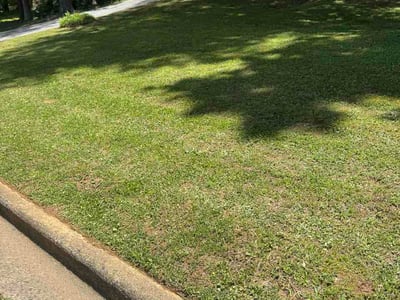 Lawn care service in Alpharetta, 30022
