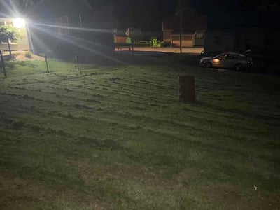 Lawn care service in Claridge, 15623