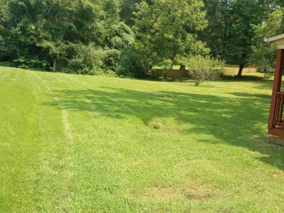 Lawn care service in Charlotte, 28216