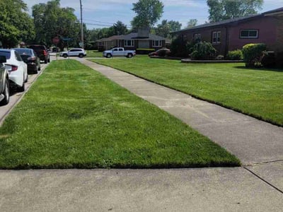 Lawn care service in Munster, 46321