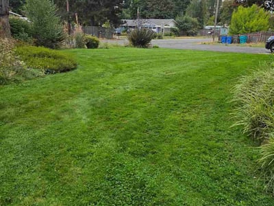 Lawn care service in Battle Ground, 98604