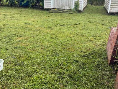 Lawn care service in Brunswick, 31520