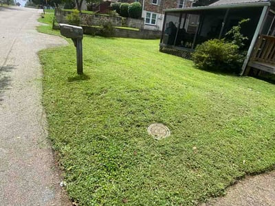 Lawn care service in Greenville, 29611