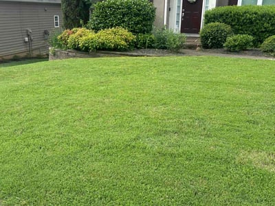 Lawn care service in Marietta, 30062