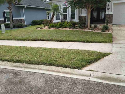 Lawn care service in Palm Coast, 32164