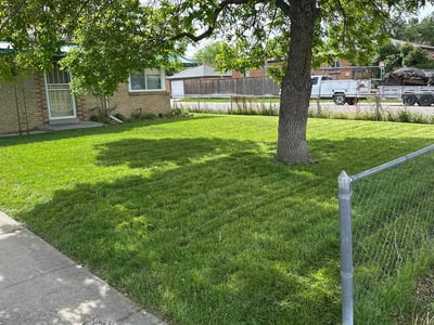 Lawn care service in Denver, 80207