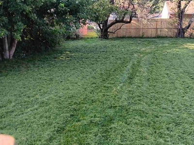 Lawn care service in Englewood, 45322