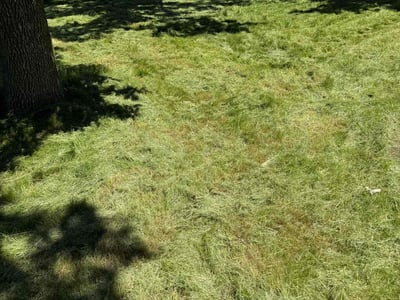 Lawn care service in Stillwater, 55082