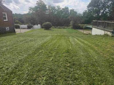 Lawn care service in Pittsburgh, 15210