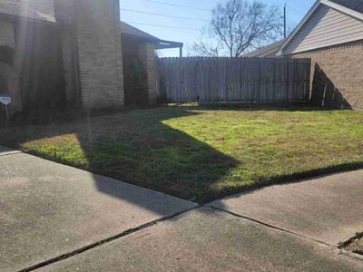 Lawn care service in Houston, 77083
