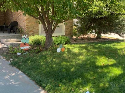 Lawn care service in Thornton, 80602