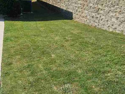 Lawn care service in Blythewood, 29016