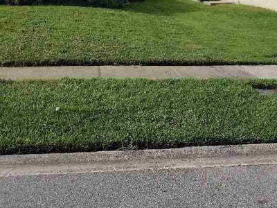 Lawn care service in Orlando, 32825