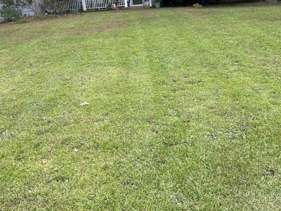 Lawn care service in Winder, 30680