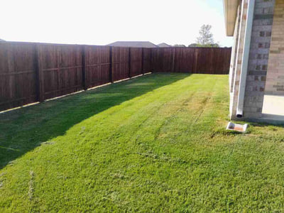 Lawn care service in Celina, 75009