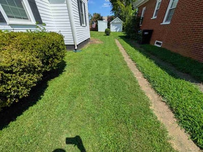 Lawn care service in Fredericksburg, 22401