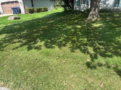 Lawn care service in Sussex, 53089