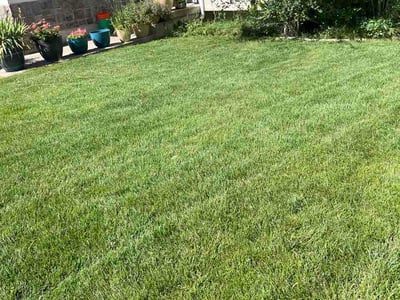 Lawn care service in Layton, 84041