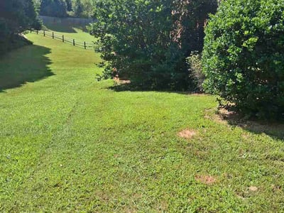 Lawn care service in Locust Grove, 30248