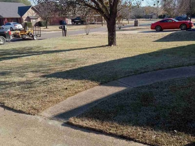 Lawn care service in , 