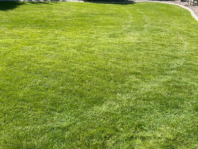 Lawn care service in Parker, 80138