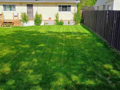Lawn care service in Ypsilanti, 48198
