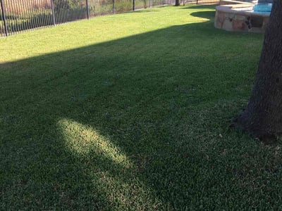 Lawn care service in Round Rock, 78665